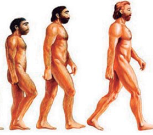 Re – Evolución