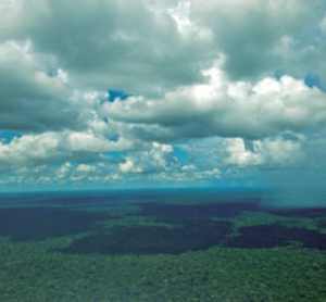 Amazonas Fantástico