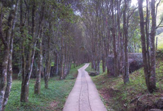 Salazar de las Palmas, Un Eden Perdido