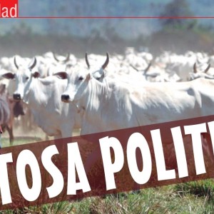 ACTUALIDAD | Aftosa Política