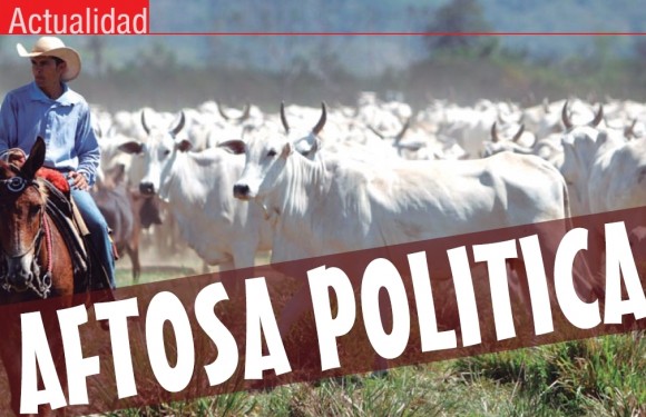 ACTUALIDAD | Aftosa Política