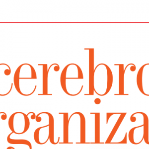 EMPRESARIALES | EL CEREBRO DE LA ORGANIZACIÓN