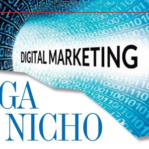 MERCADEO | Digital Marketing, Haga su Nicho