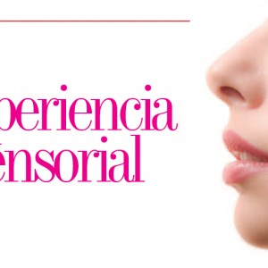 MERCADEO | Experiencia Sensorial