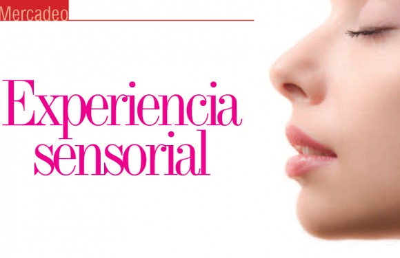 MERCADEO | Experiencia Sensorial