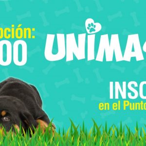 UNIMASCOTAS 2019