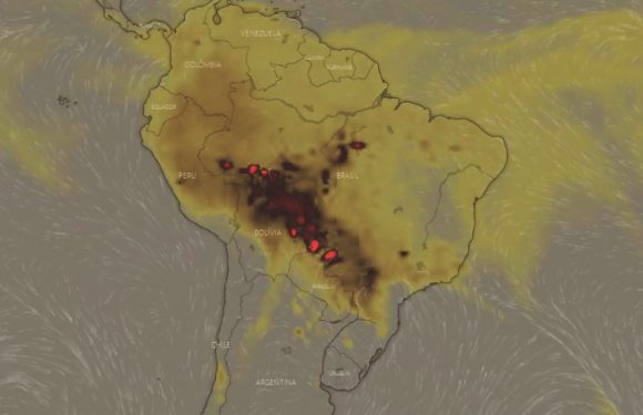 DRAMA | SELVA ARDIENDO