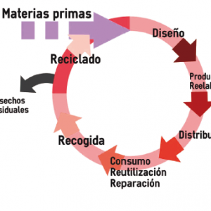 ECONOMÍA | ECONOMÍA CIRCULAR