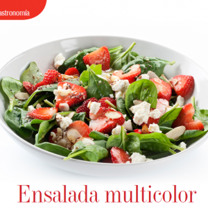 GASTRONOMÍA | ENSALADA MULTICOLOR