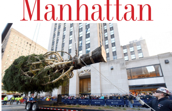 NAVIDAD | ÁRBOL DE MANHATTAN