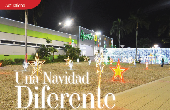 ACTUALIDAD | UNA NAVIDAD DIFERENTE