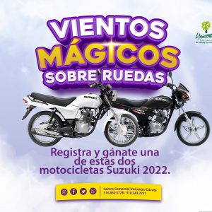 VIENTOS MÁGICOS SOBRE RUEDAS