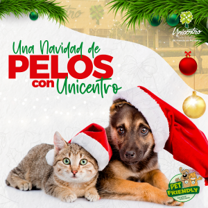 UNA NAVIDAD DE PELOS