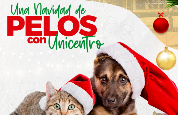 UNA NAVIDAD DE PELOS