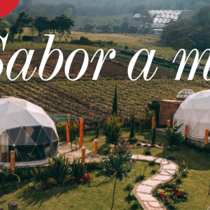 TURISMO | SABOR A MÍ