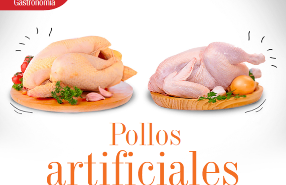 GASTRONOMÍA | POLLOS ARTIFICIALES