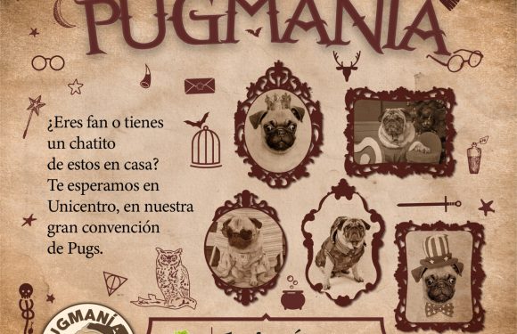 PUGMANÍA