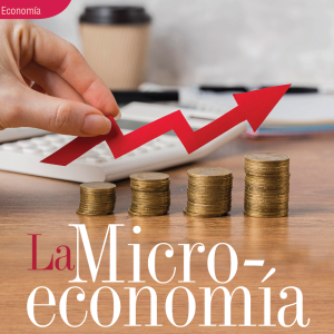 ECONOMÍA | LA MICROECONOMÍA