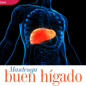 SALUD | MANTENGA BUEN HÍGADO