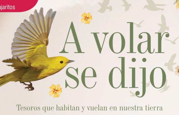 PAJARITOS | A VOLAR SE DIJO