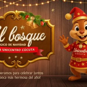 REGLAMENTO USO DEL PLAYGROUND 2025