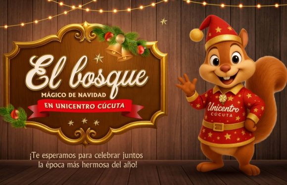 REGLAMENTO USO DEL PLAYGROUND 2025