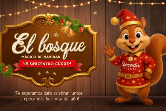 REGLAMENTO USO DEL PLAYGROUND 2025