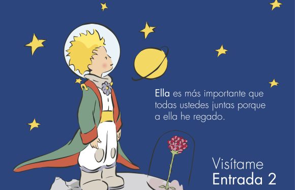 TÉRMINOS Y CONDICIONES | EL PRINCIPITO 2026