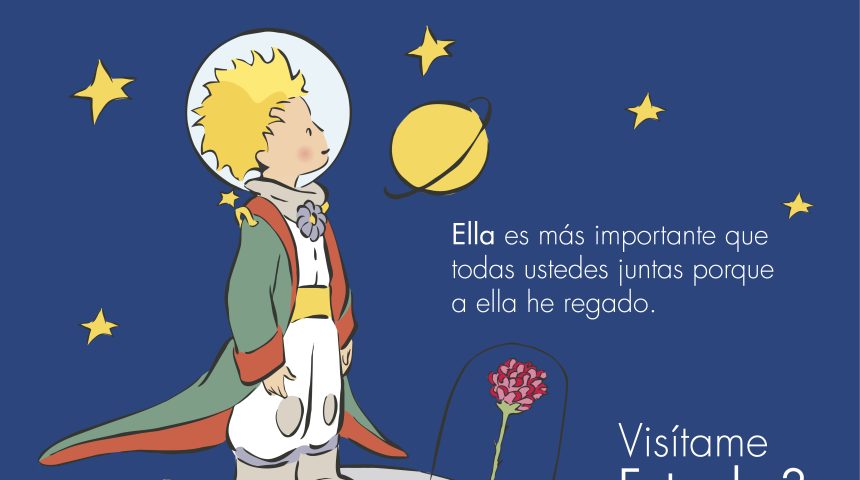 TÉRMINOS Y CONDICIONES | EL PRINCIPITO 2026 TÉRMINOS Y CONDICIONES | EL PRINCIPITO 2026